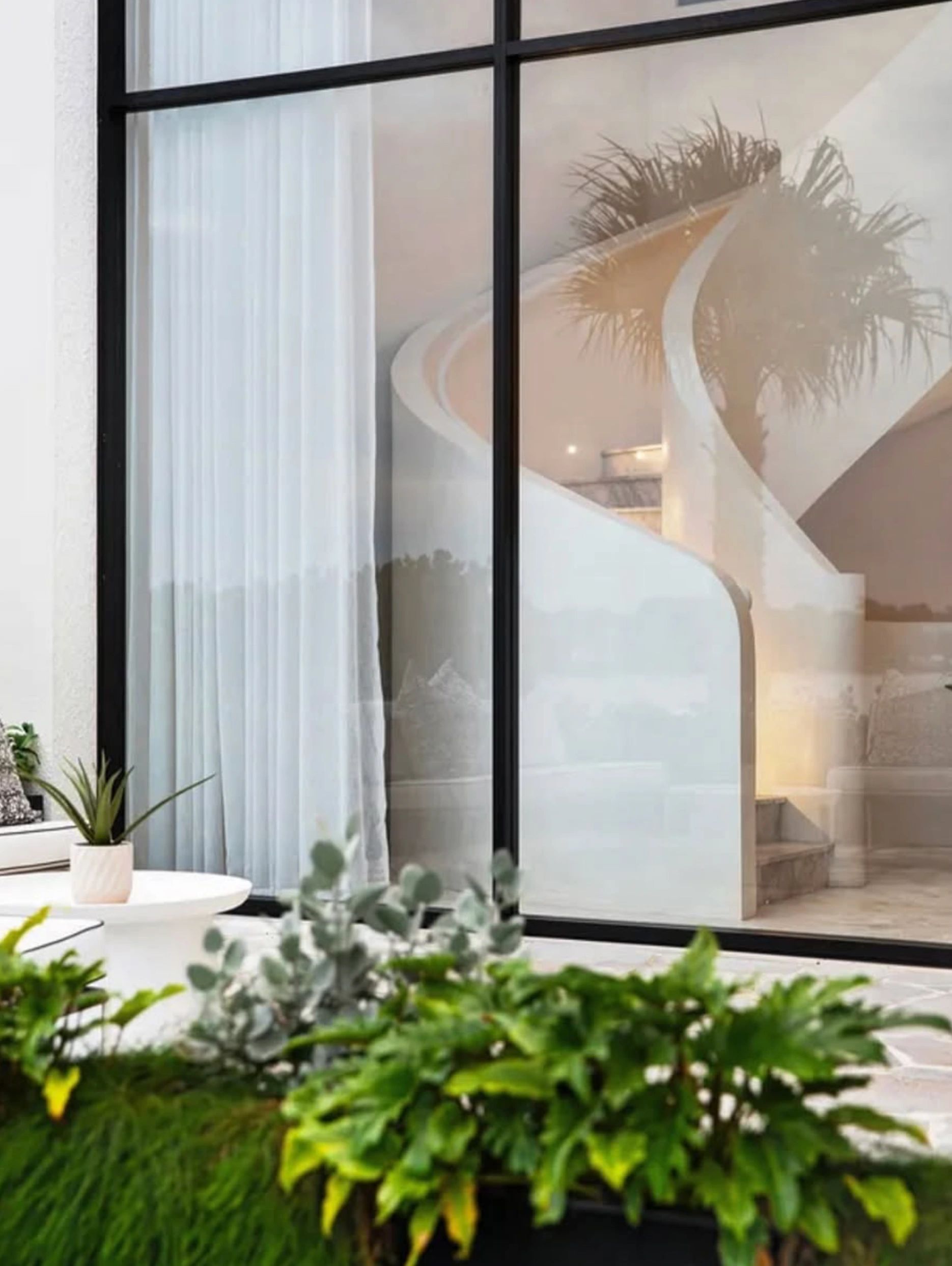 Black framed windows white curved interior with palms